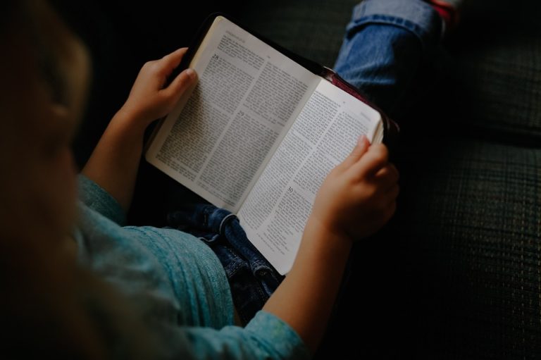 У Києві відкривається книгарня-кав’ярня «Видавництва Старого Лева»