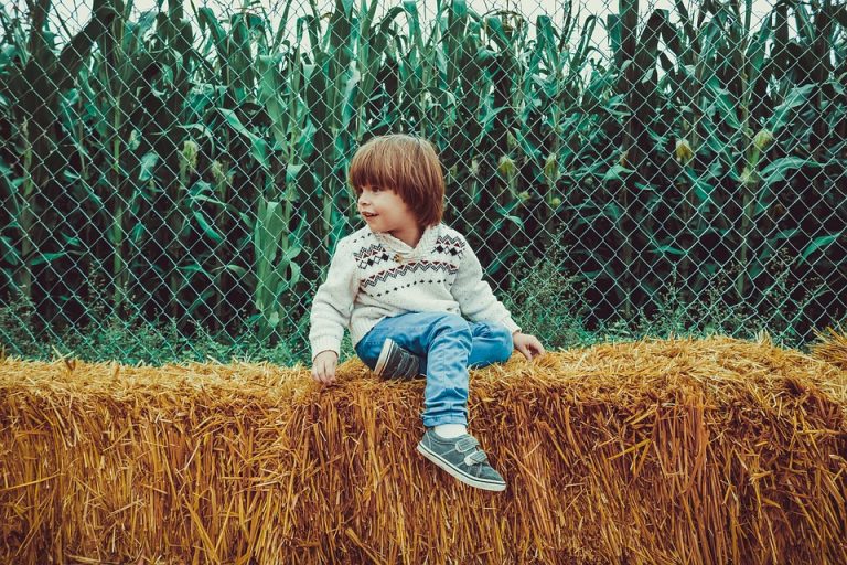 Афіша для батьків: куди піти з дітьми в Києві 11-12 листопада