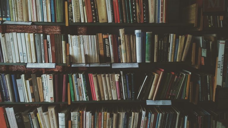 Великосорочинська бібліотека збирає кошти на закупівлю книг