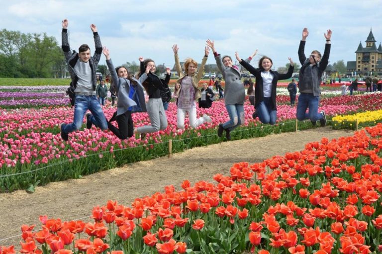 Школярів запрошують зняти продовження серіалу «Шкільне реаліті»