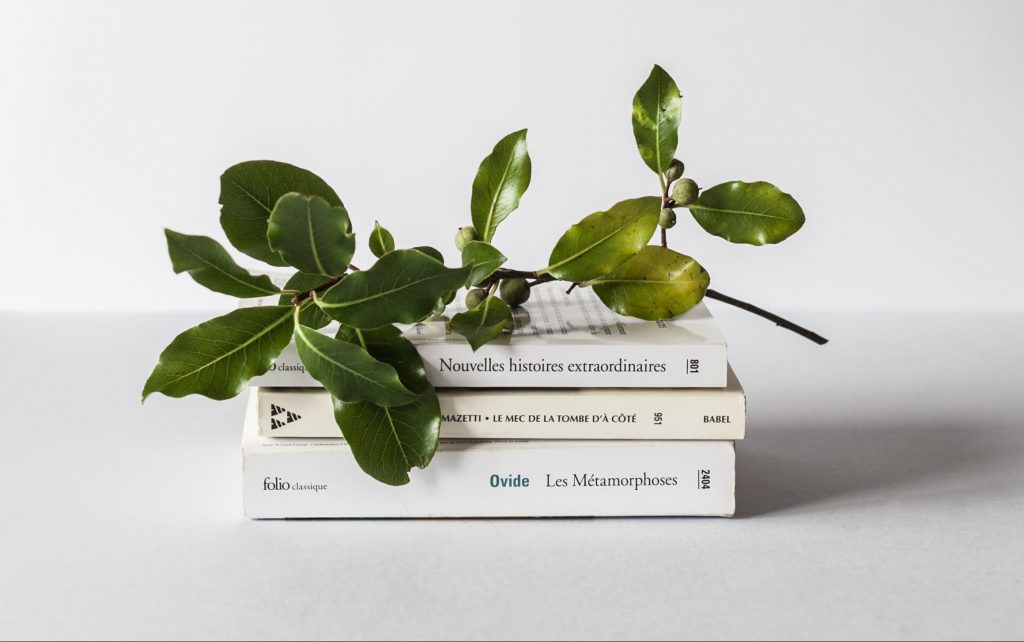 Найкращі книги 2019-го: Букерівську премію отримали одразу дві письменниці