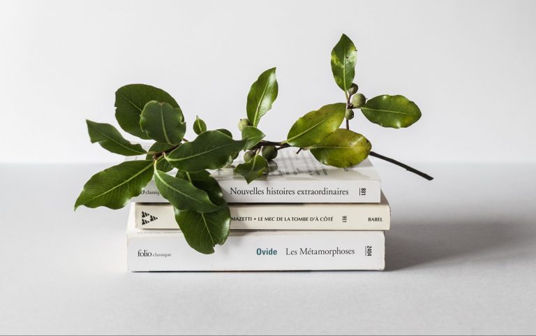 Найкращі книги 2019-го: Букерівську премію отримали одразу дві письменниці