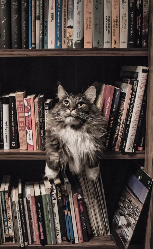 Більшість українців не читають книжок