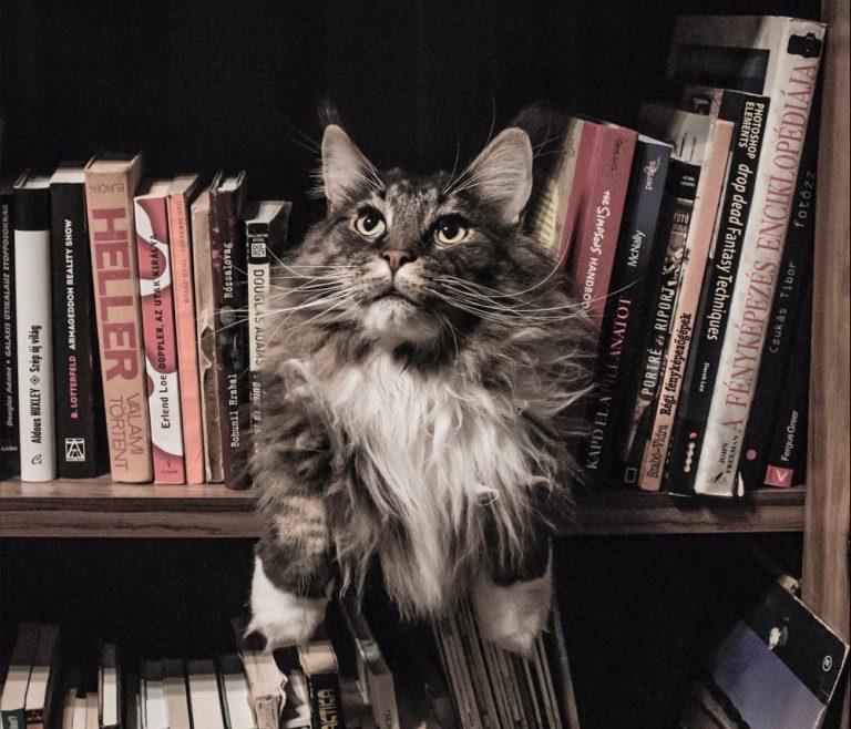 Більшість українців не читають книжок