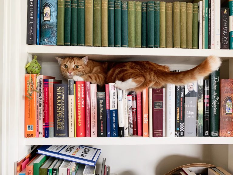Які сучасні книжки екранізувати? Одеський кінофестиваль та Книжковий Арсенал оголосили конкурс