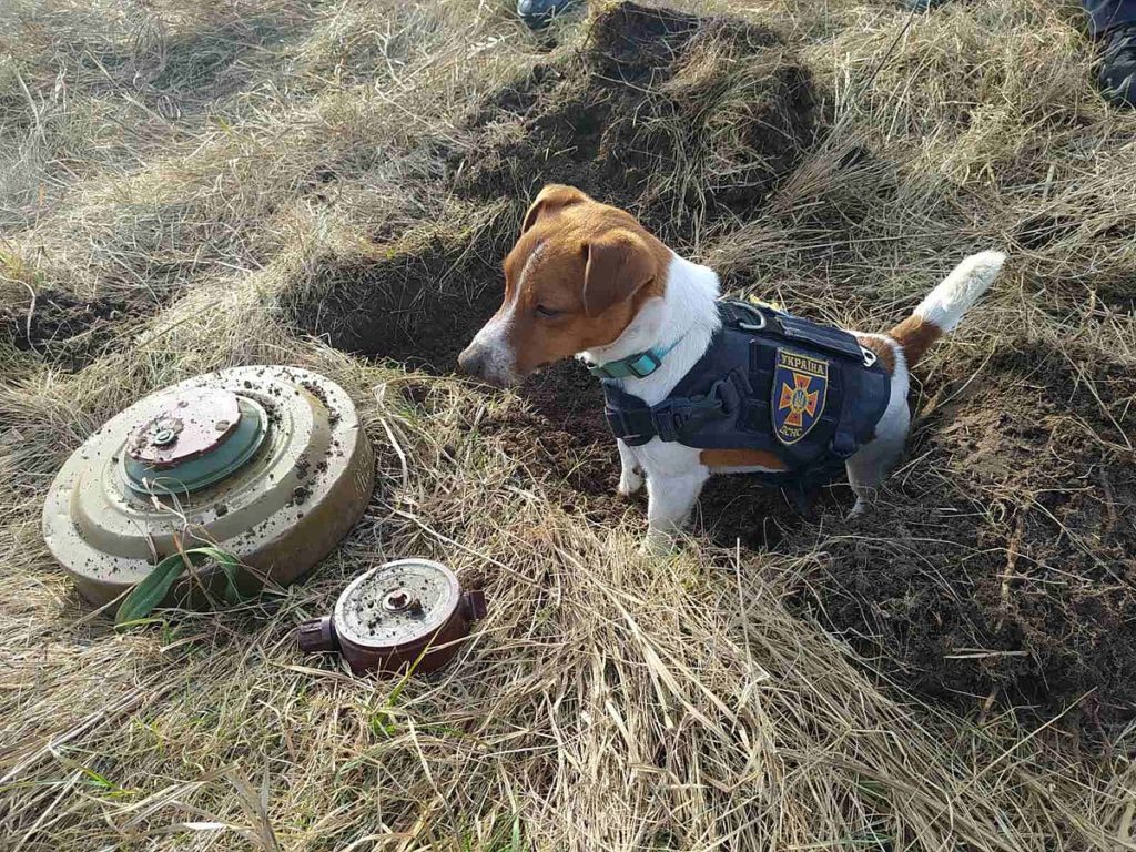 Школярів запрошують на онлайн-урок з мінної безпеки