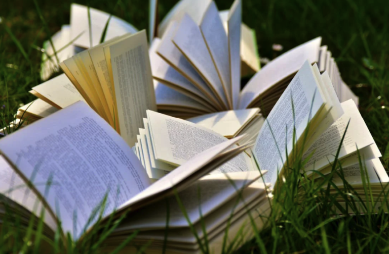 Київська книгарня збирає російськомовну літературу для допомоги ЗСУ