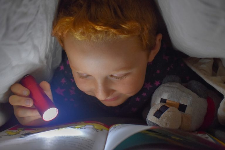 «Книжка року-2024»: названі короткі списки в номінації «Дитяче свято»