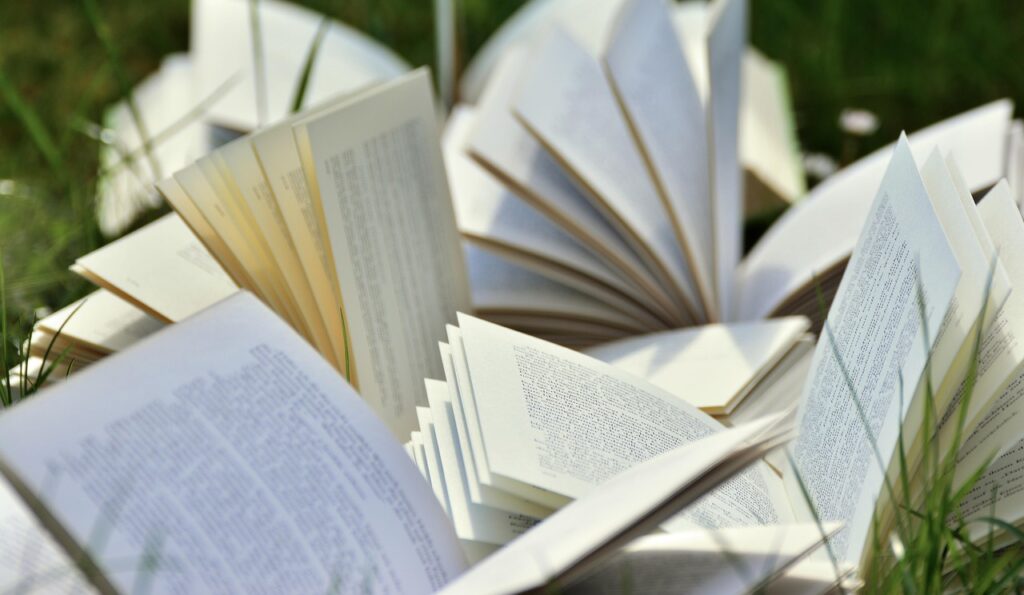 Заради популяризації читання — Данія планує скасувати податок на книги