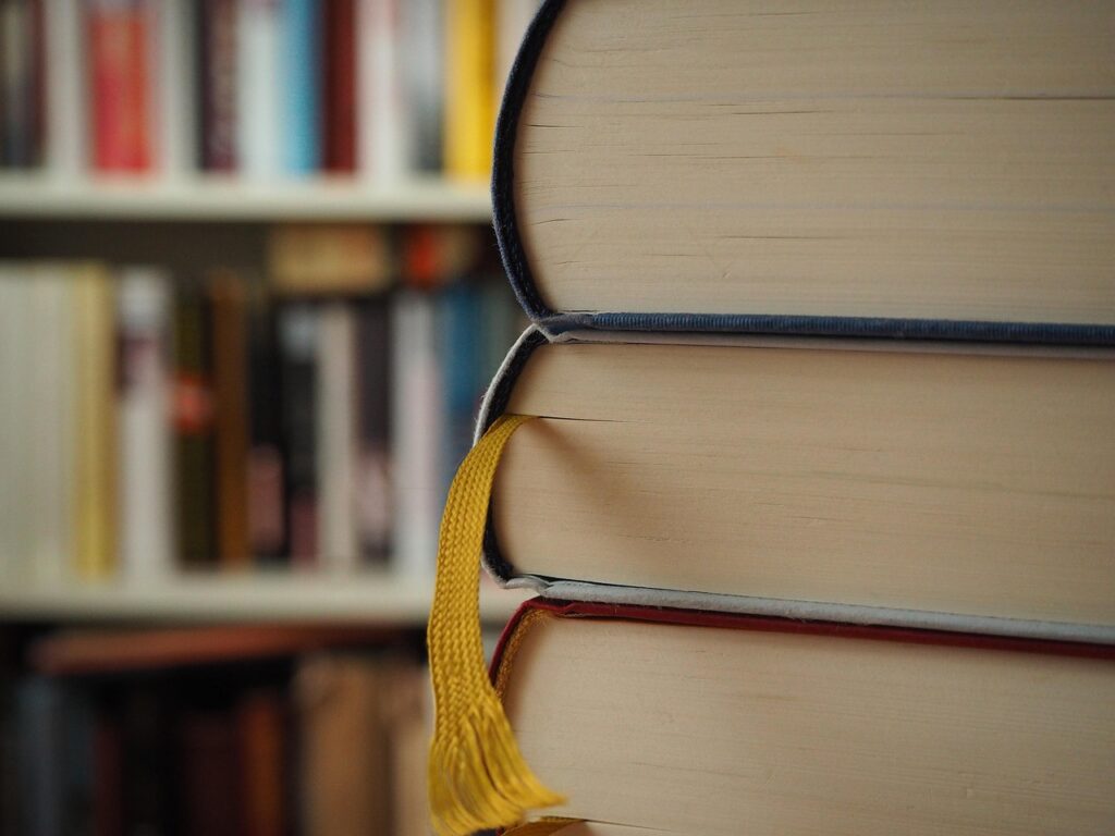 41 видання: назвали довгі списки Книги року ВВС-2025