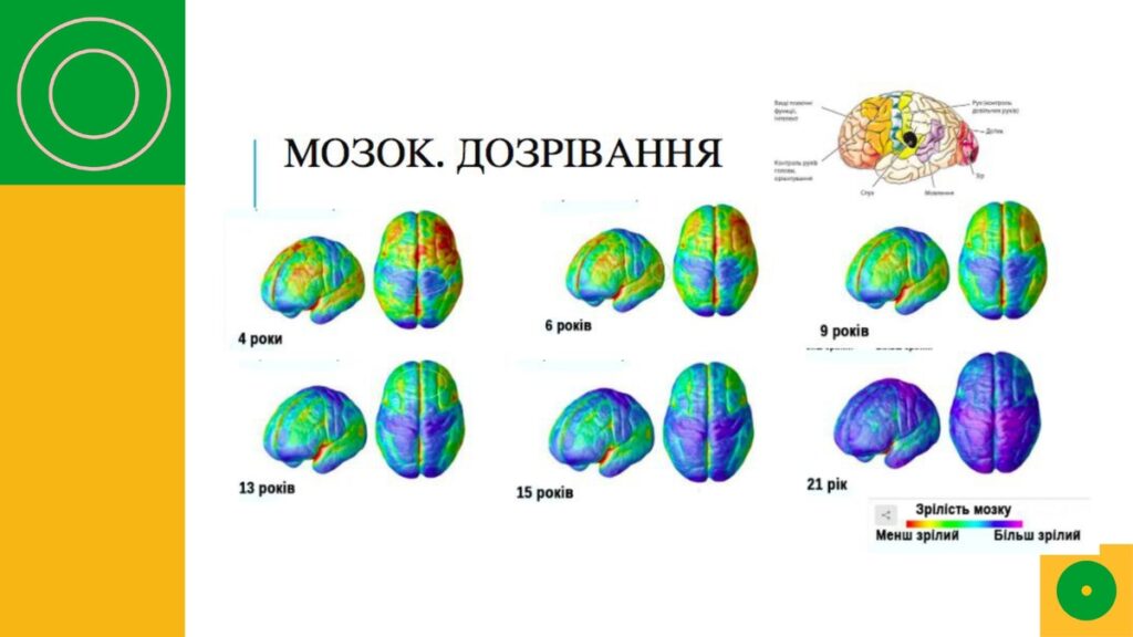 Вчителям: Що приховує мозок дитини, яка «не розуміє» математику?