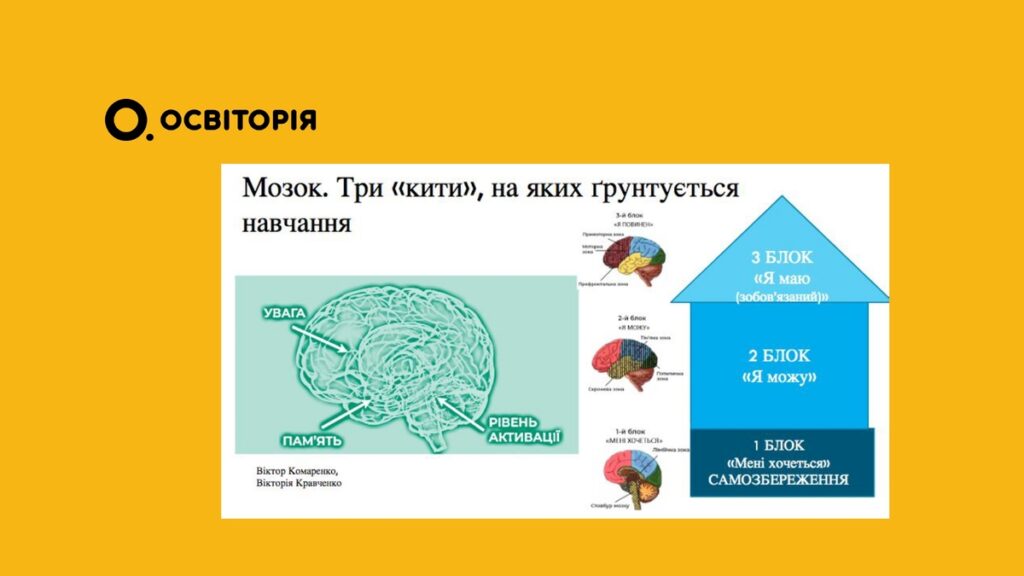 Вчителям: Що приховує мозок дитини, яка «не розуміє» математику?