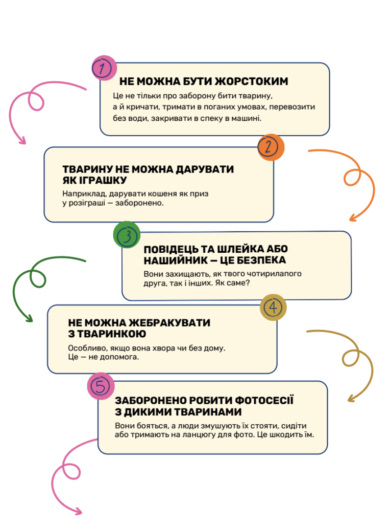Вчителям: Не лише «нагодувати кота»: як навчити дітей відповідальності за тварин на уроках
