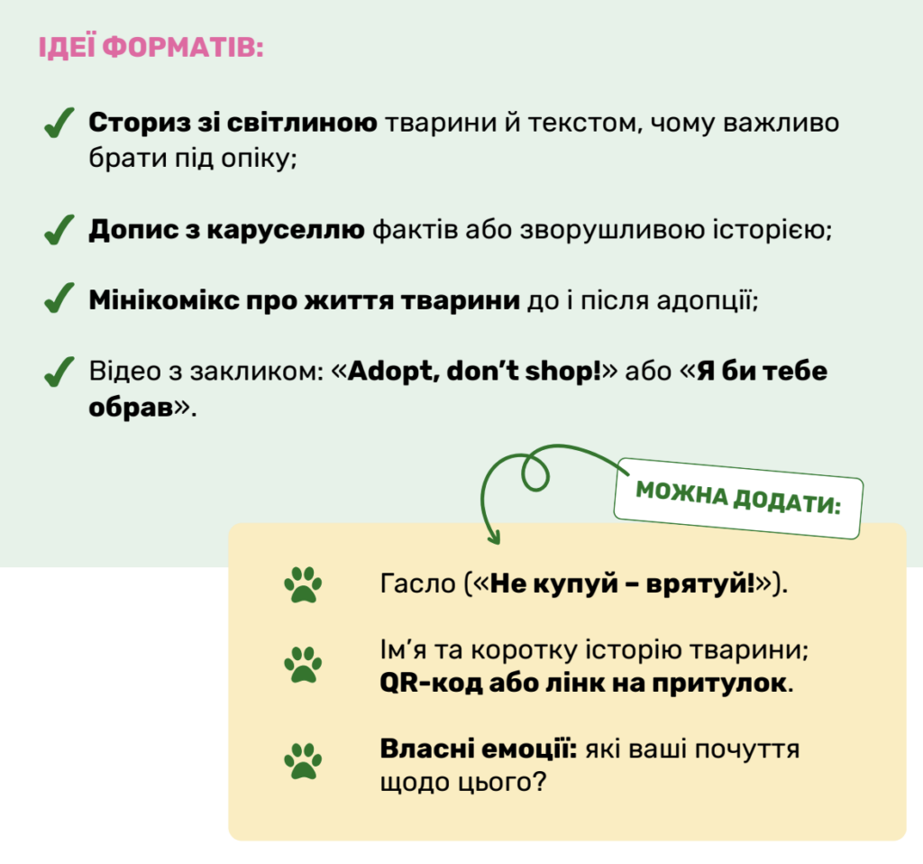 Вчителям: Не лише «нагодувати кота»: як навчити дітей відповідальності за тварин на уроках