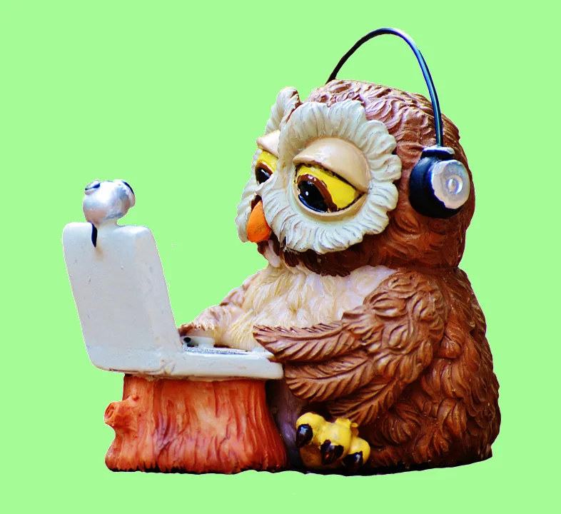 owl-2608783_960_720