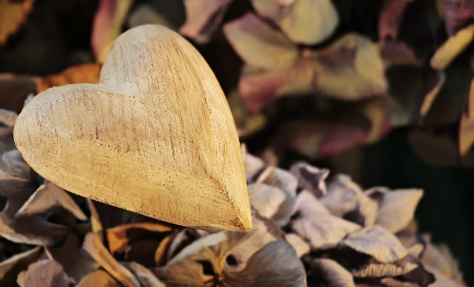 heart-2945403_960_720