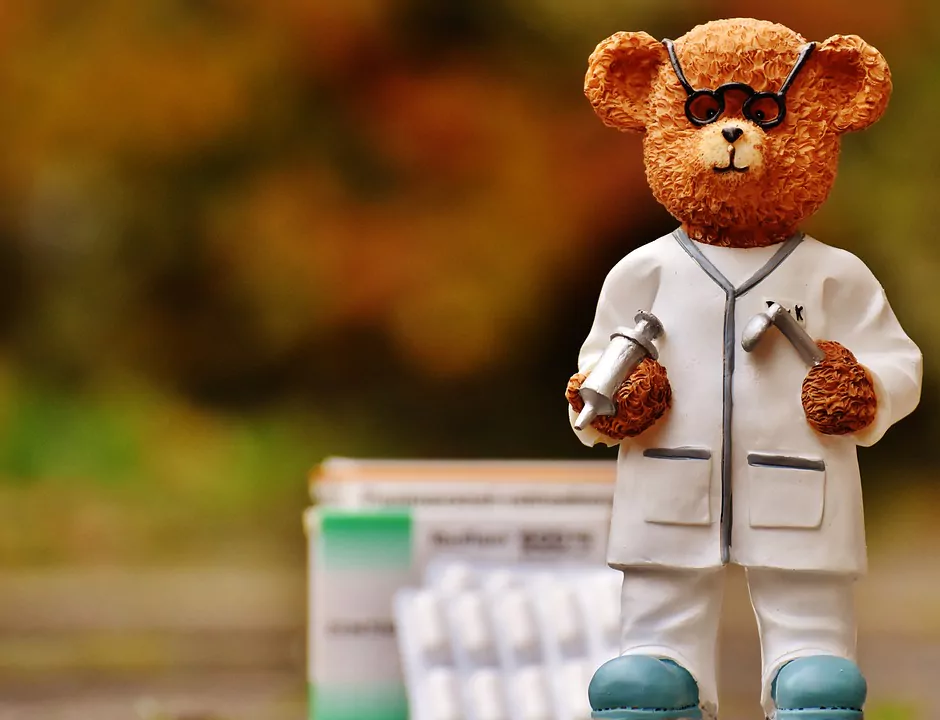 bear-1821463_960_720