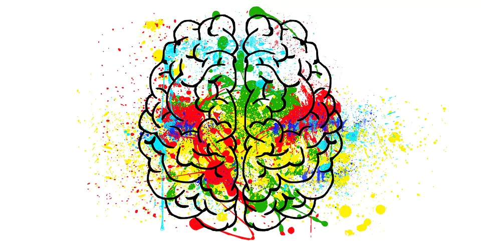 brain-2062048_960_720