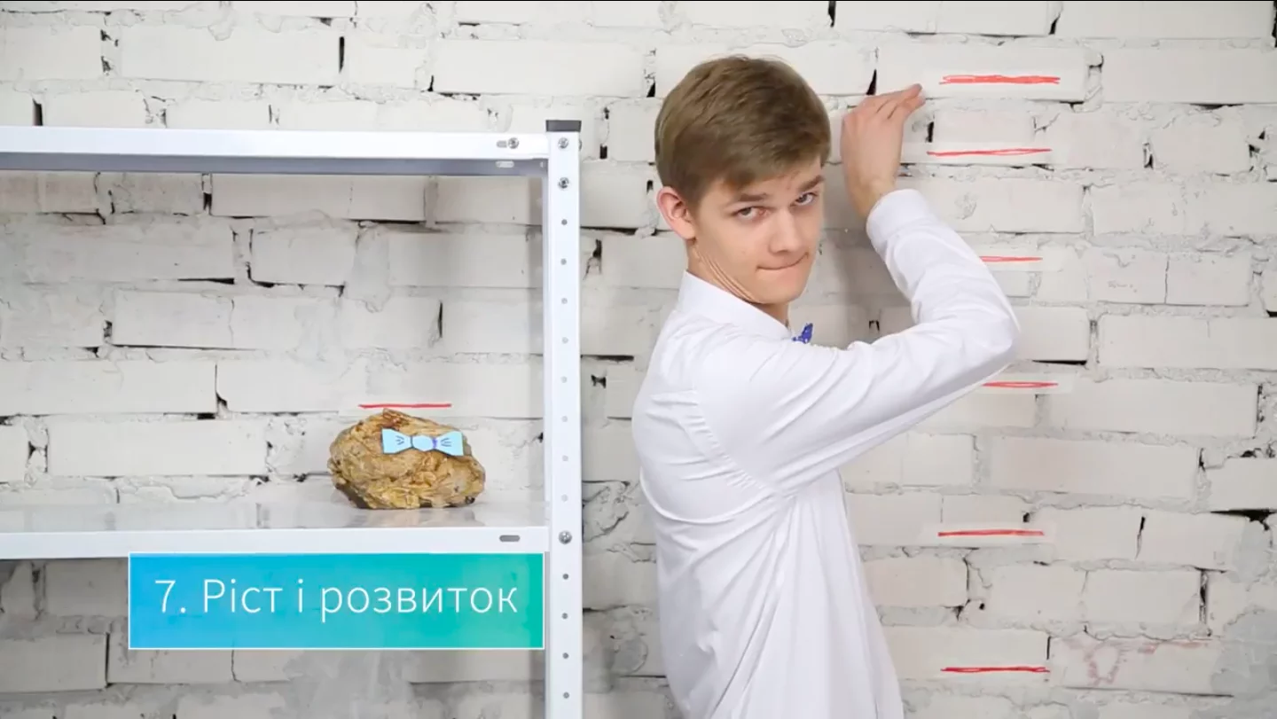 ріст і розвиток