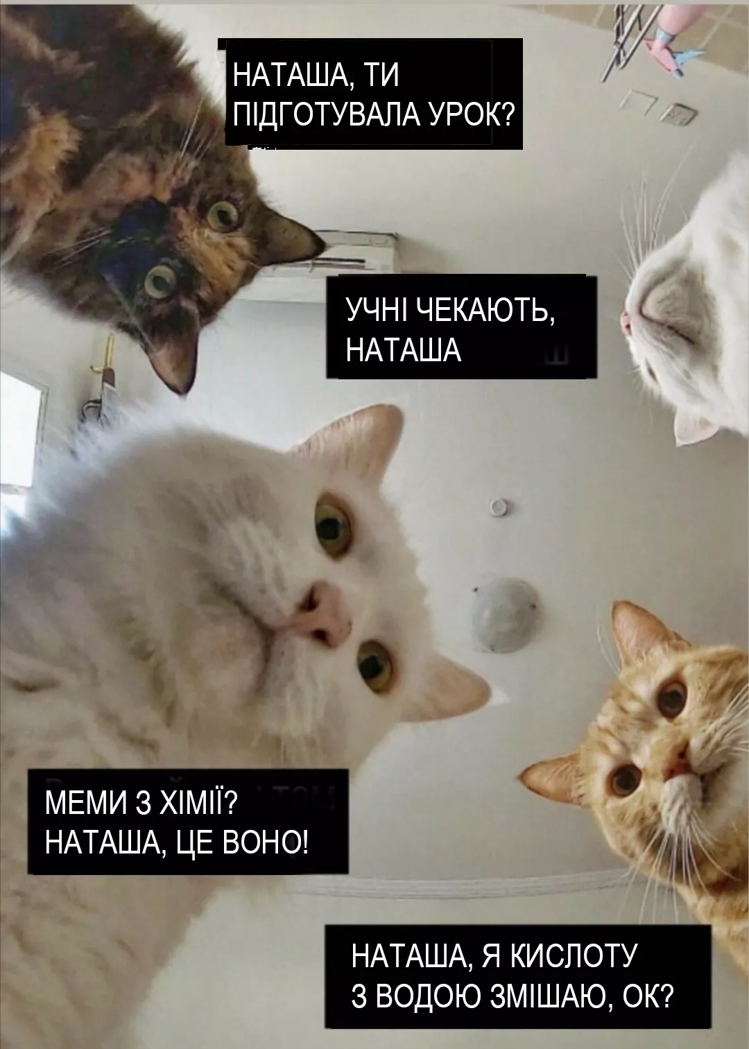 Вчителям: Як створювати наукові меми для уроків