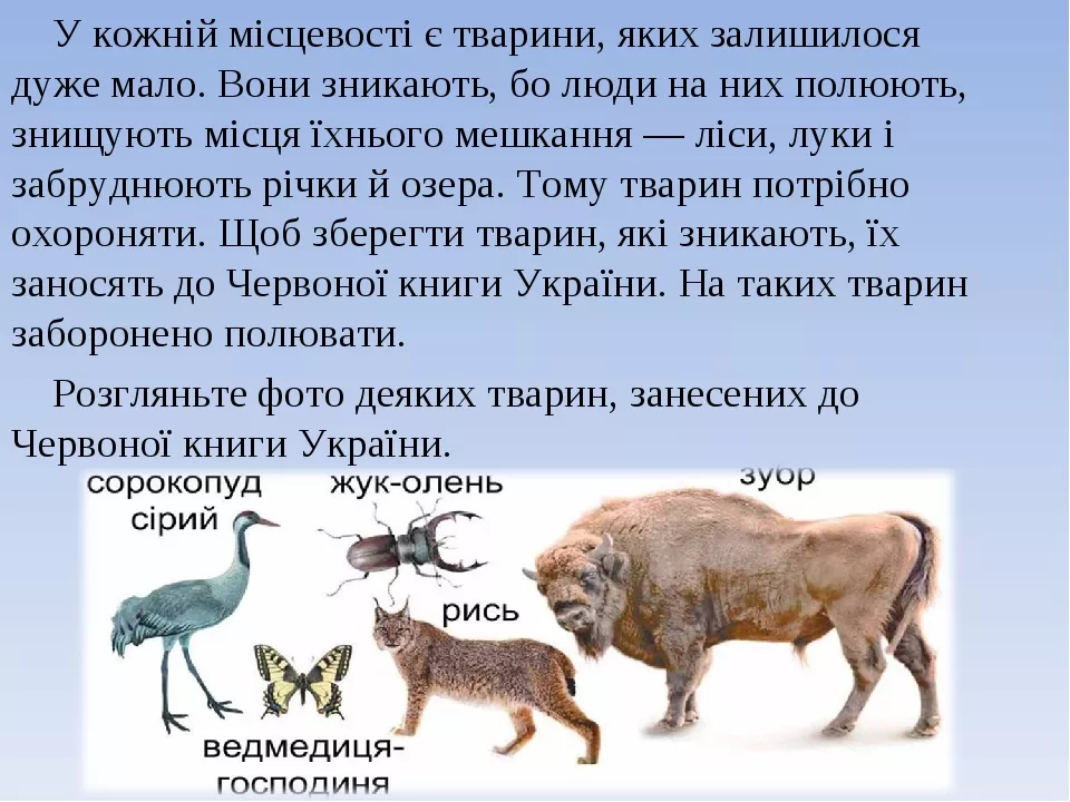 Вчителям: Як зробити українські підручники кращими