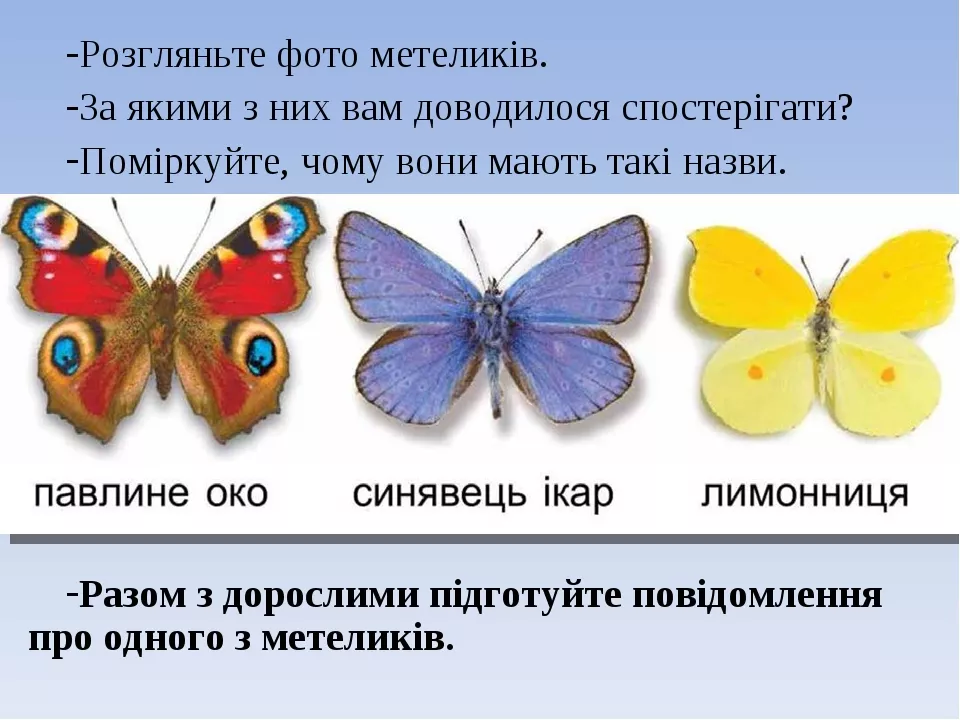 Вчителям: Як зробити українські підручники кращими